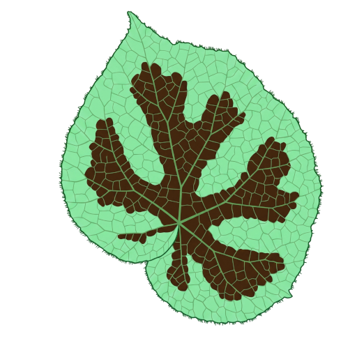 Begonia Wiki Logo