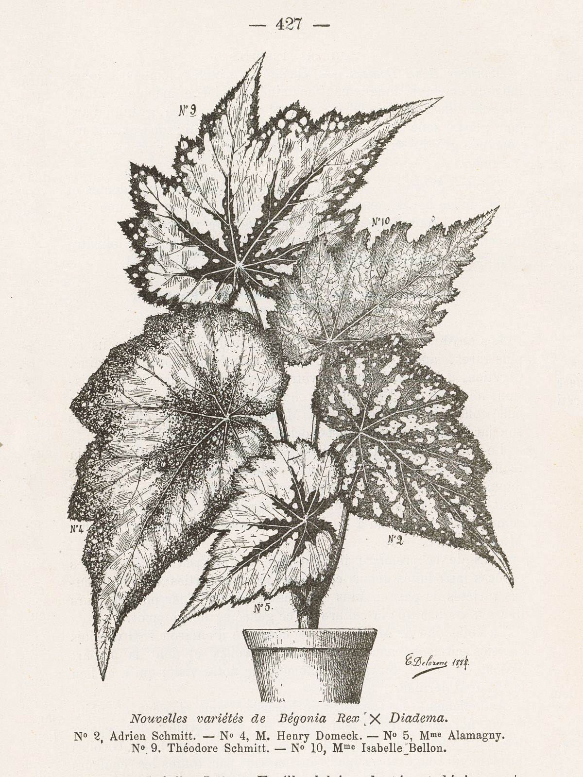 B. ‘Adrien Schmitt’